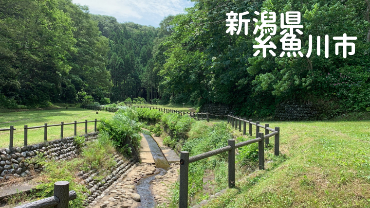 海とカニを満喫 荒崎キャンプ場をレポート ランダムウォークキャンプ